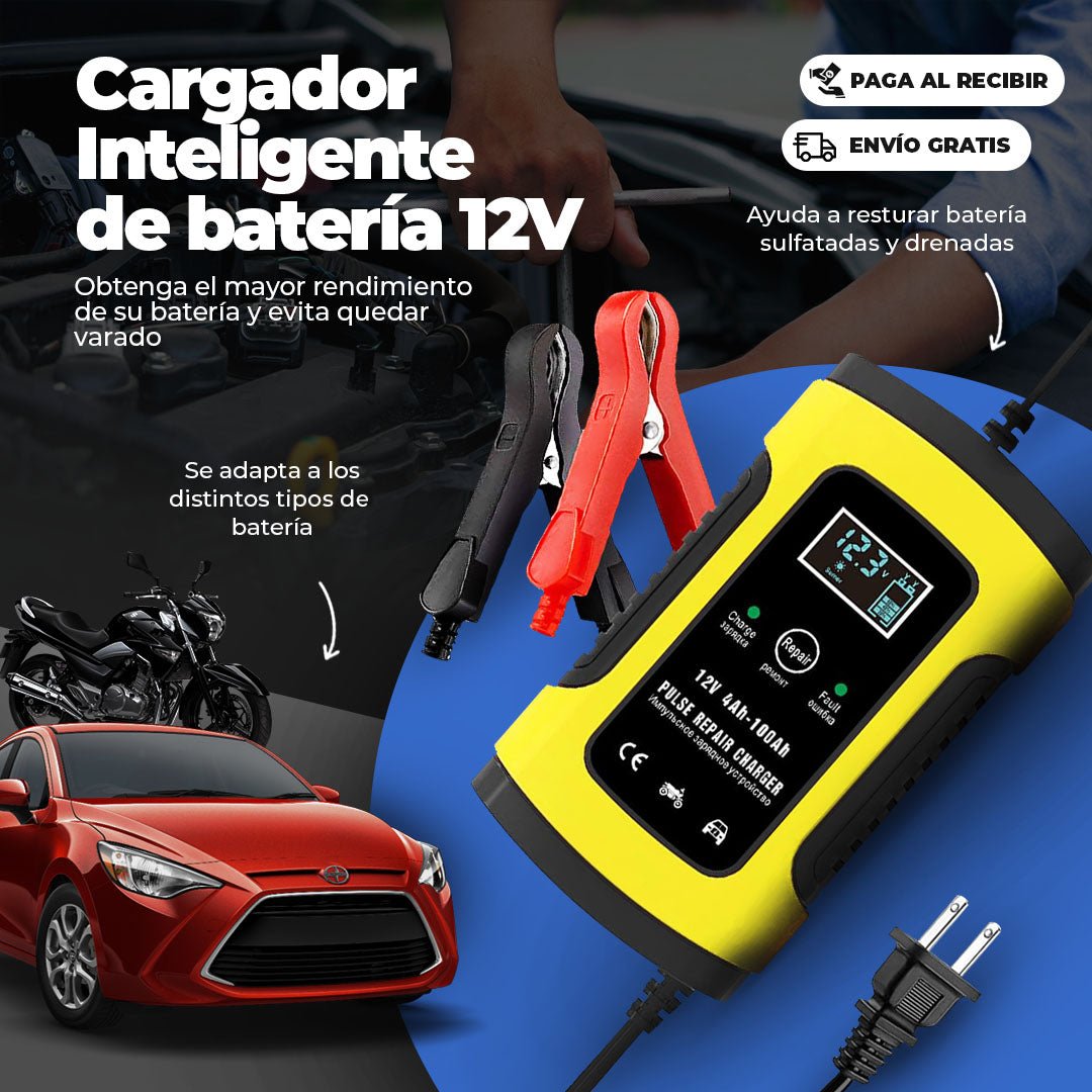 Cargador Auto Inteligente Batería 110v De Auto